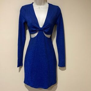 Wild Fable shimmery dress